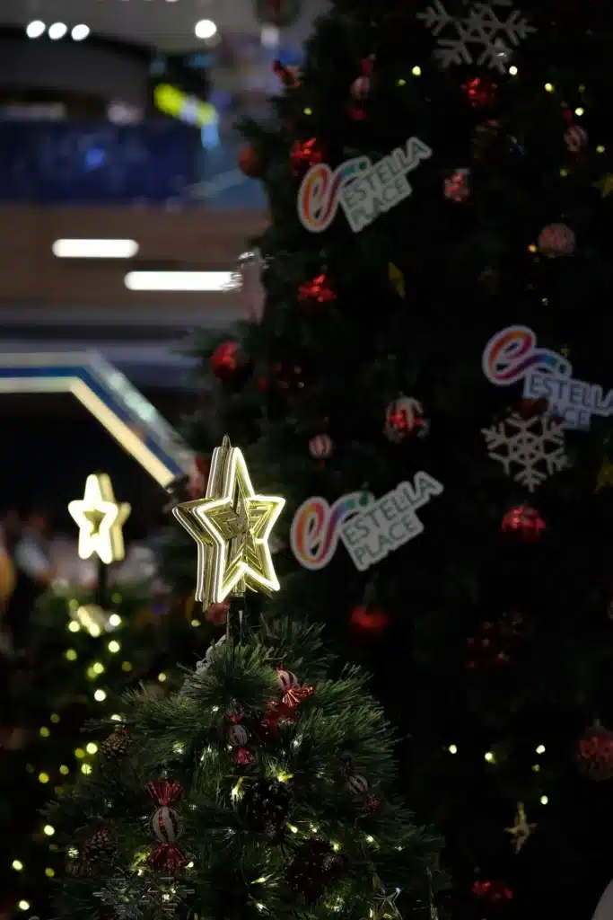 Julelys flagstang udendørs