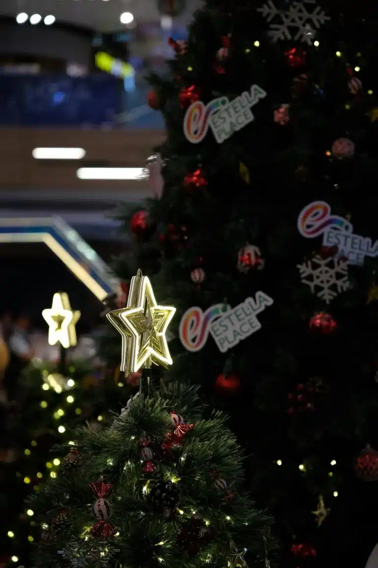 Julelys flagstang udendørs